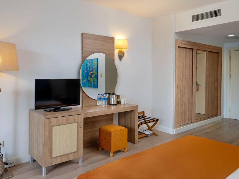 Habitación de hotel luminosa con escritorio, televisor, espejo y armario de madera.