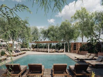 Adalya Bliss+16 Adult Only