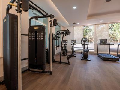 Gimnasio moderno con varias máquinas de entrenamiento y grandes ventanas con vistas a zonas verdes.
