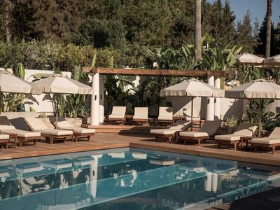 Área de piscina moderna con tumbonas y sombrillas frente a vegetación exuberante en un hotel.