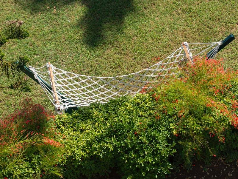 Pusta hamak w ogrodzie z zieloną trawą i kolorowymi krzewami.