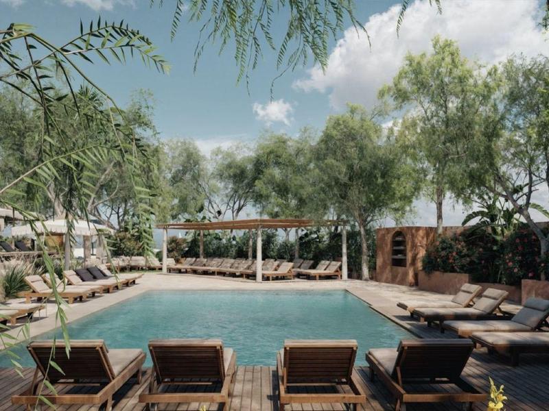 Piscine extérieure moderne avec transats et arbres en arrière-plan dans un cadre paisible.