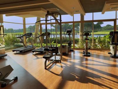 Bright gym with modern equipment and large windows overlooking greenery.