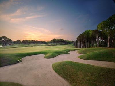 Golf course with grassy mounds and bunkers at sunset
