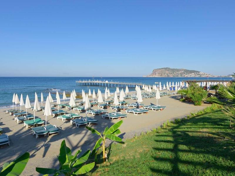Plage avec rangées de chaises longues et parasols blancs à côté d'une pelouse verte et de plantes.