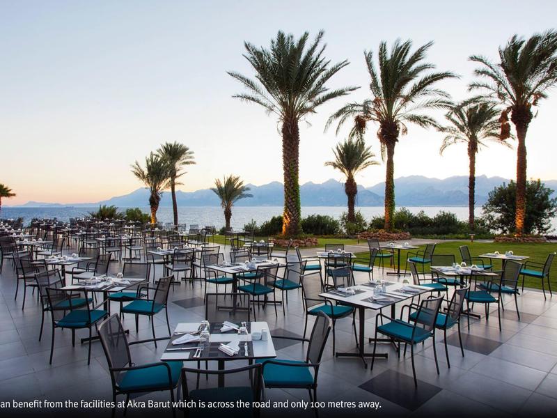 Terraza al aire libre con mesas y sillas junto a palmeras frente al mar durante el atardecer.