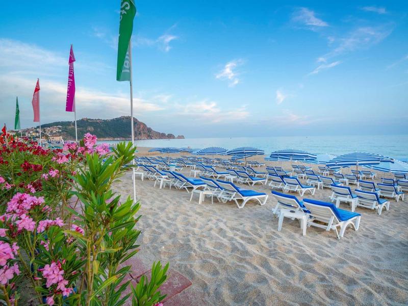 Plage avec chaises longues bleues, fleurs roses et ciel bleu clair.