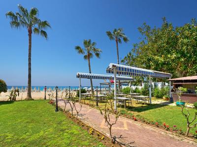 Giardino verde con palme e area salotto accanto a spiaggia e mare sotto cielo sereno.