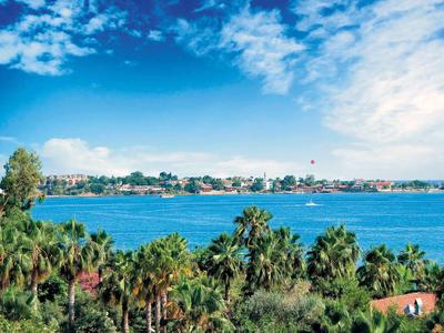 Vista sul mare con palme in primo piano e una costa sotto un cielo blu.