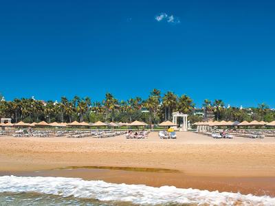 Spiaggia con lettini, ombrelloni e palme sotto cielo azzurro e mare