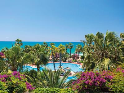 Veduta della piscina dell'hotel con palme e cespugli in fiore vicino al mare sotto un cielo sereno