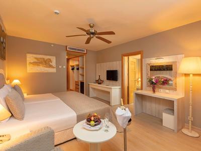 Pohodlný hotelový pokoj s manželskou postelí, stropním ventilátorem, televizí a sedací částí se stolem.