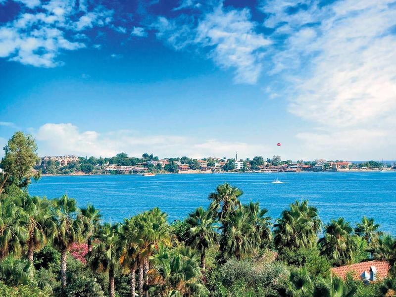 Výhled na moře s palmami a oblačnou oblohou podél pobřeží.