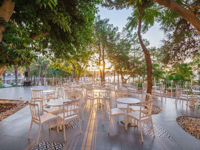 Sonnendurchflutete Außenterrasse mit weißen Tischen und Stühlen, umgeben von Bäumen.