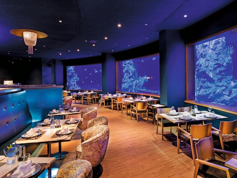 Nowoczesna restauracja z niebieskim oświetleniem i dużymi panoramicznymi oknami.