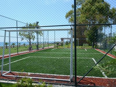 Campo da calcio all'aperto accanto a un'area recintata con alberi