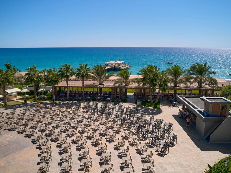 Vue sur un bar de plage avec des palmiers et des rangées de chaises longues au bord de la mer.