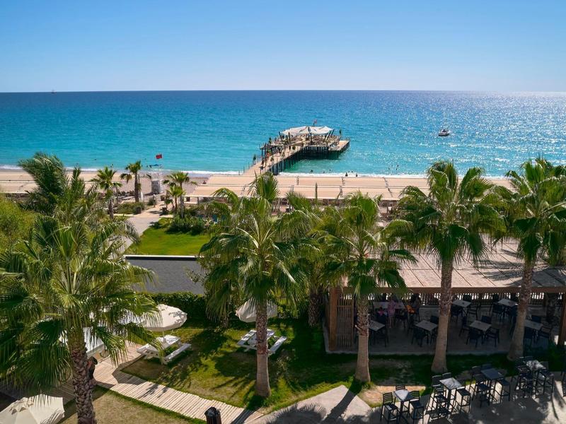 Vue sur une plage avec des palmiers et une jetée s'étendant dans la mer par une journée ensoleillée.