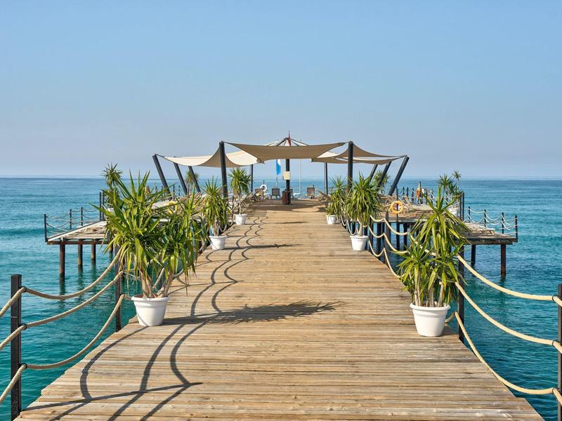 Jetée en bois avec plantes menant à une zone ombragée au-dessus de la mer bleue.