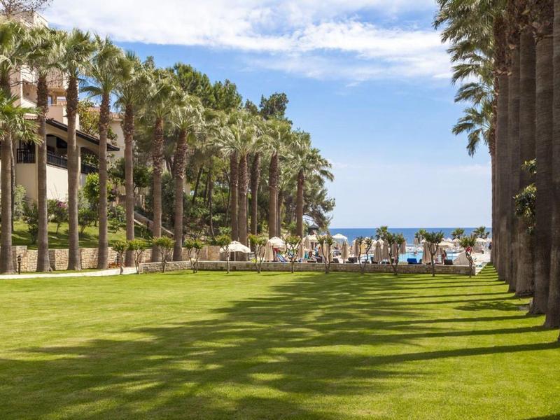 Pelouse verte avec palmiers et terrasse avec chaises et tables au bord de la mer