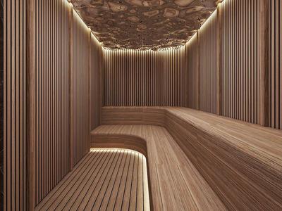 Moderne houten saunaruimte met indirecte verlichting en elegante plafondbekleding.