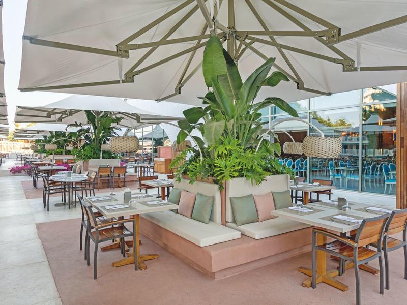 Área de restaurante al aire libre con mesas y sillas bajo grandes sombrillas y plantas.