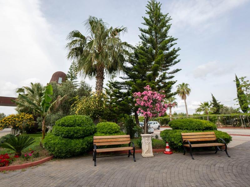 Zelená zahradní oblast s lavičkami, palmami a kvetoucími rostlinami pod zataženou oblohou.