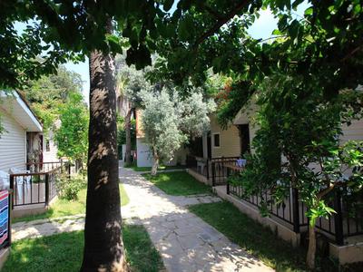 Cesta mezi rekreačními domy lemovaná stromy s oplocenými terasami a posezením.