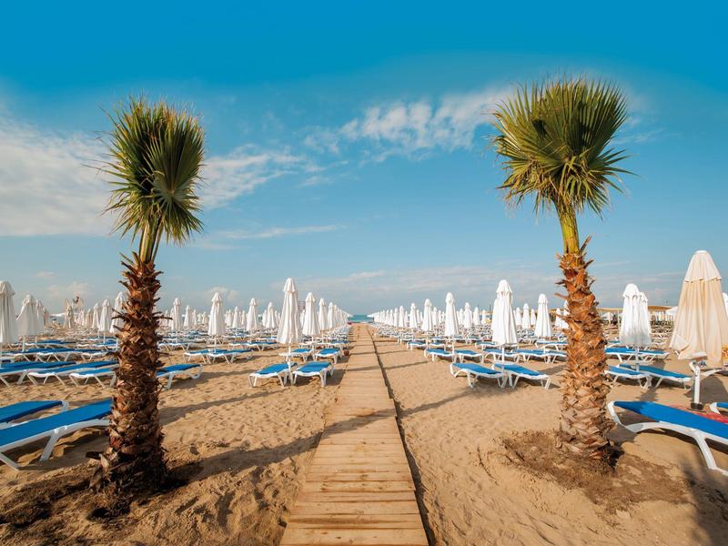Plage sablonneuse avec palmiers, transats bleus et parasols blancs sous un ciel bleu