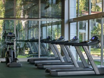 Salle de sport avec tapis de course et vélo d'appartement devant de grandes fenêtres vitrées donnant sur des arbres verts.
