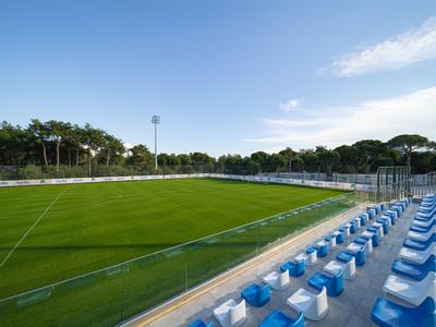 Leeg voetbalstadion met groen gras en blauwe zitplaatsen onder een heldere lucht