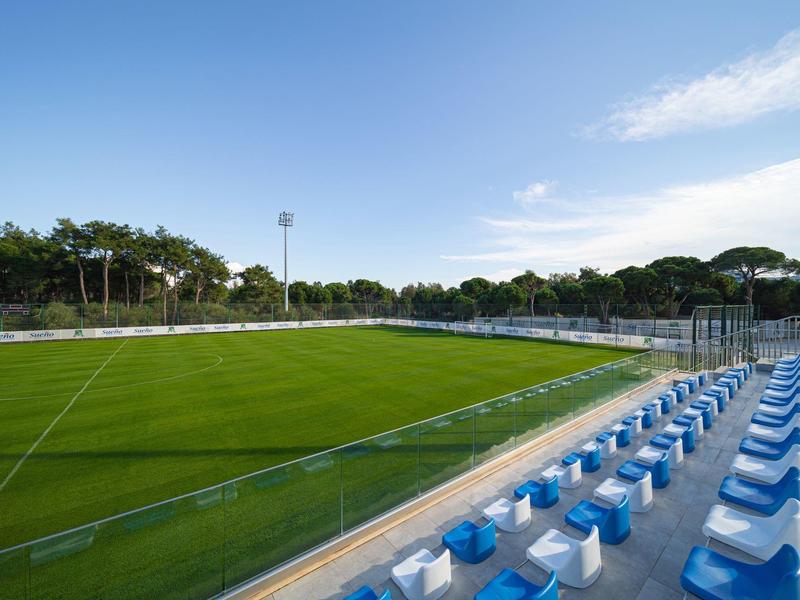 Pusty stadion piłkarski z zielonym boiskiem i niebieskimi siedzeniami pod jasnym niebieskim niebem
