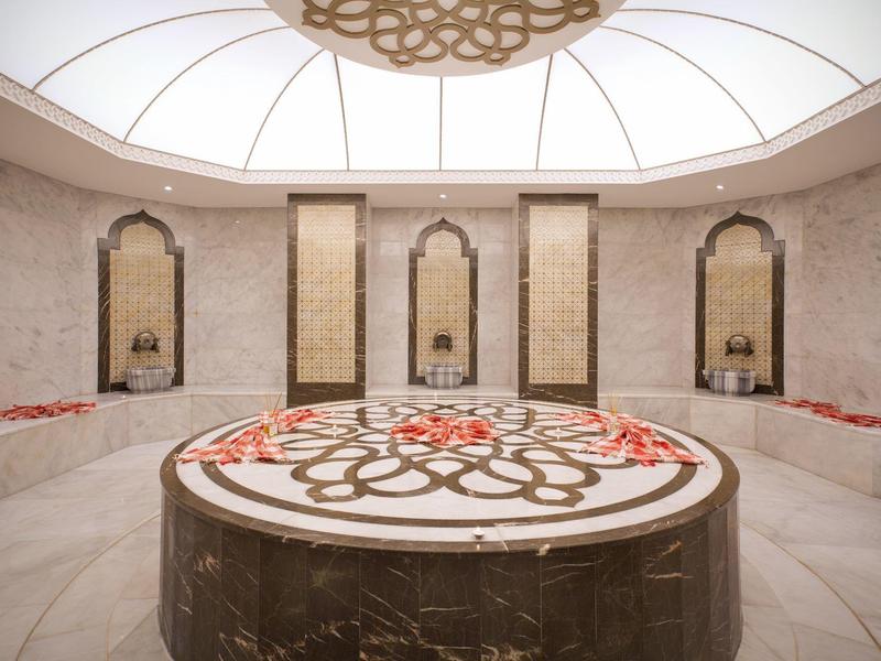 Luxurious round hammam with marble and decorated walls under a large glass dome.
