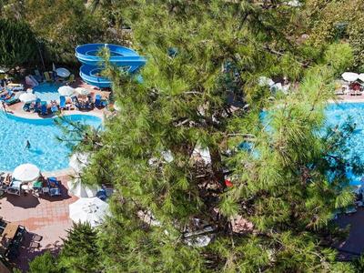 Großer Swimmingpool mit runden Formen, umgeben von Sonnenschirmen, Liegestühlen und viel Grün.