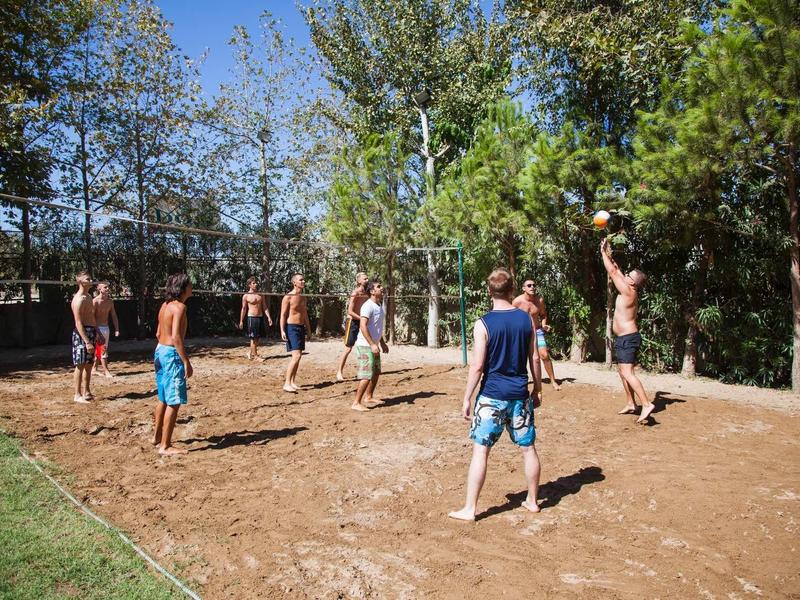 Grupa osób grających w siatkówkę na zewnątrz na piaszczystym boisku z drzewami w tle.