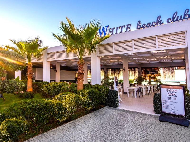 Modern beachclub met palmbomen en zitplaatsen buiten bij zonsondergang.