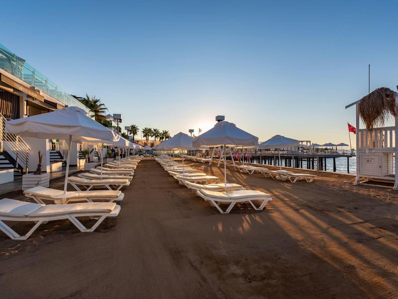 Lege ligstoelen en parasols op een hotelstrand bij zonsondergang.