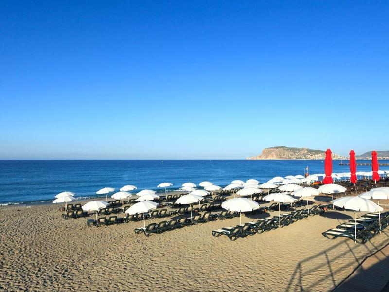 Cielo azul claro sobre una playa tranquila con filas de sombrillas blancas y tumbonas junto al mar.