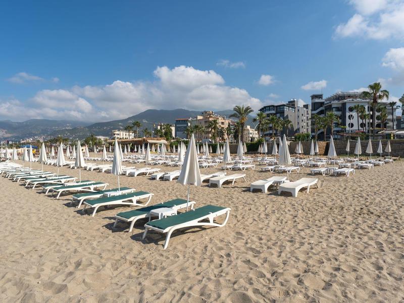 Beach with rows of lounge chairs and closed umbrellas, buildings in the background.