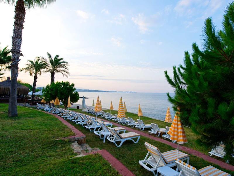 Beach chairs and umbrellas line a grassy area overlooking a calm sea at sunset.