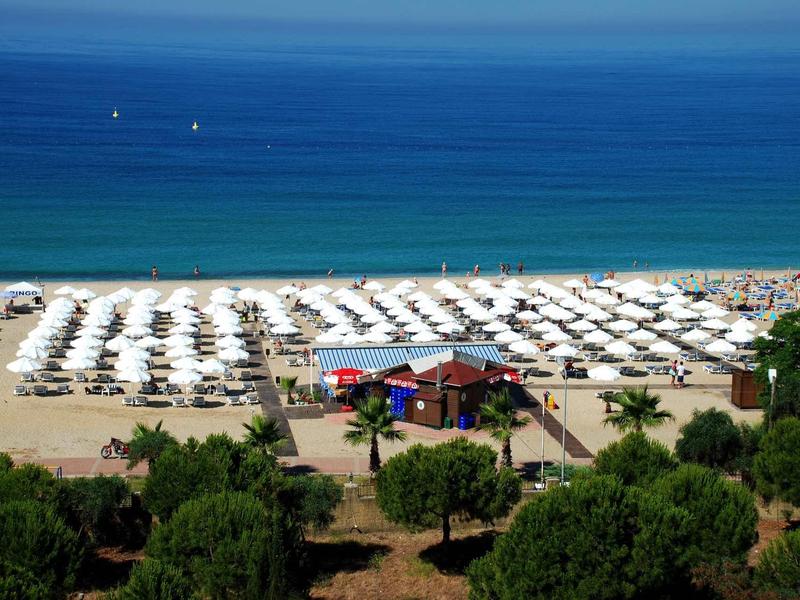 Beach with many white umbrellas and blue sea in the background
