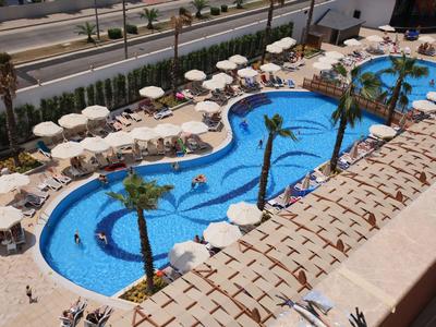 Grande piscine incurvée avec palmiers, parasols et chaises longues près d'une route