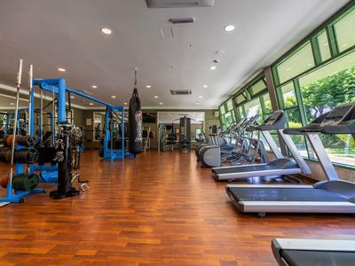 Palestra moderna con pavimento in legno, tapis roulant e attrezzature per la forza vicino a grandi finestre.