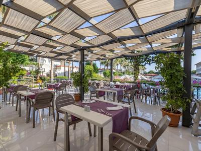 Terrazza coperta di un hotel con tavoli e sedie, decorata con piante.