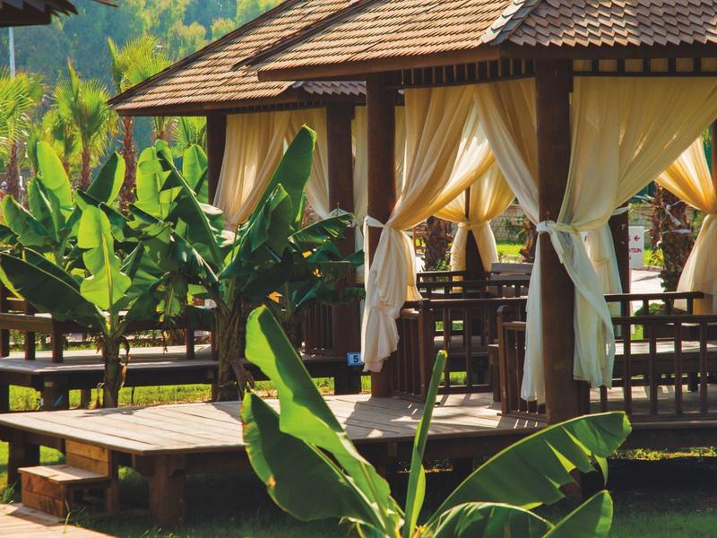 Holzterrasse mit Vorhängen und tropischen Pflanzen bei sonnigem Wetter im Garten.