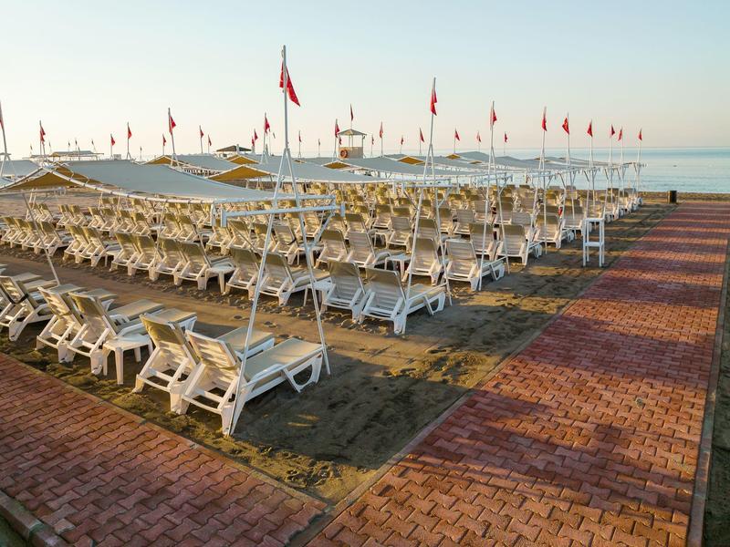 Strand met rijen ligstoelen, parasols en vlaggen bij de zee in het avondlicht.
