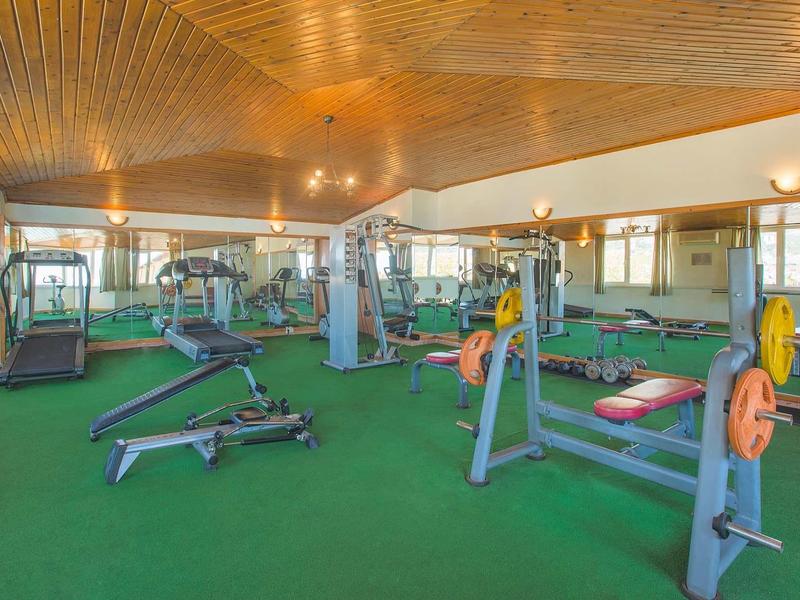 Gym with weight machines, treadmills, and green carpet under wooden ceiling.