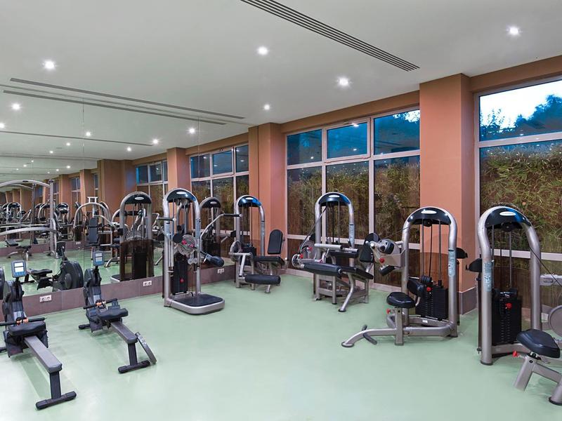 Modern gym with various exercise machines and large windows showing outdoor greenery.