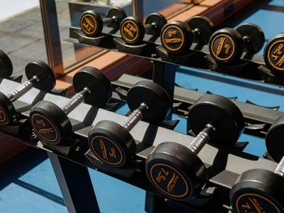 Dumbbells in verschiedenen Größen auf einem Ständer in einem Fitnessraum mit Spiegel.