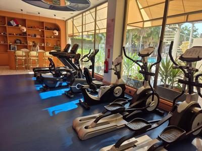 Heller Fitnessraum mit elliptischen Trainern vor großen Fenstern und Regalen im Hintergrund.